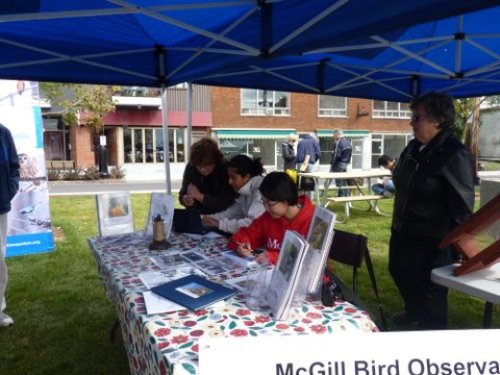 Ste-Anne-de-Bellevue Ecology Day