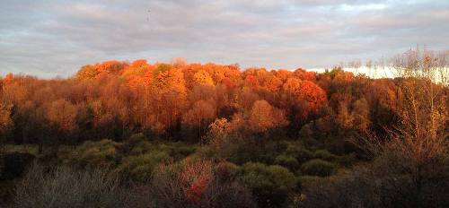 Fall colours at MBO