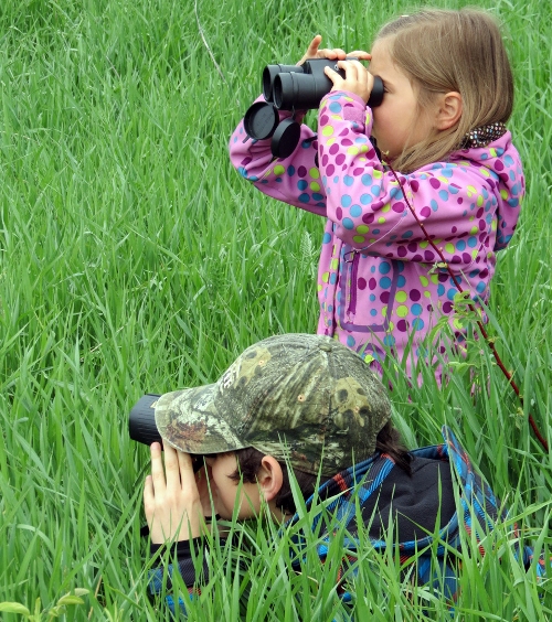 Young birders