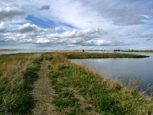 Weed Lake