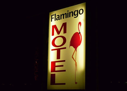 Flamingo Motel