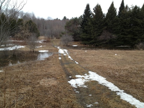 Spring flooding